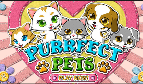 Purrfect Pets