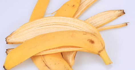 banana peels