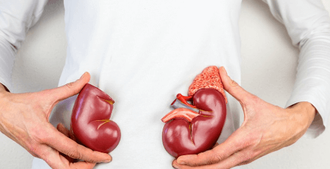 kidneys care news you need to know