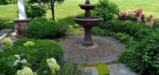 preparing the garden