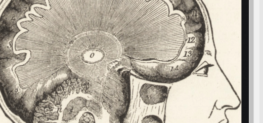 Psychological Explanation of Punting picture which sows the human brain