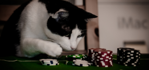 Global State of Gambling 2020