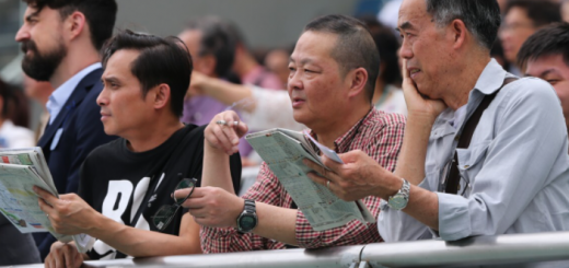 The image shows punters at a game