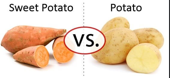 Regular Potatoes Regular and Sweet Potatoes: Which One is Healthier
