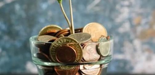 Plants and flowers that bring you luck