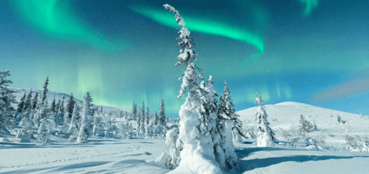 The World's Natural Events